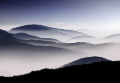 sunrise, mist, hill, mountains, calm, fog, nature wallpaper