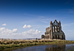 whitby abbey, england, river, church, nature wallpaper