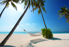 hammock, beach, maldives, nature, sand, palm tree, tropics, ocean wallpaper