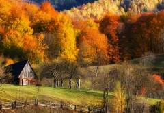 autumn, fall, barns, forest, grass, hill, landscape, tree, colorful, fence, nature wallpaper