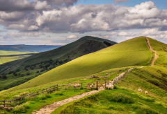 path, sheep, hill, nature, grass, landscape wallpaper