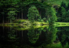 reflection, water, lake, forest, tree, nature wallpaper