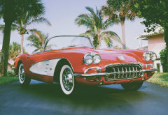 car, chevrolet, 1961 chevrolet corvette, tropics, palm, cabrio wallpaper