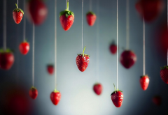 strawberry, food, nature wallpaper