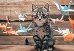 animals, cat, kittens, origami, birds, pet wallpaper