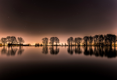 tree, nature, lake, night, reflection, water wallpaper