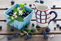 berry, bilberry, blueberry, milk, food wallpaper