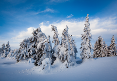 nordseter fjellpark, lillehammer, norway, winter, snow wallpaper