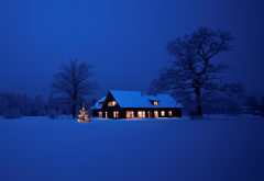 christmas, night, winter, snow, tree, lights, new year, christmas tree wallpaper