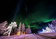 akaslompolo, finland, northern lights, aurora, night, tree, winter, snow, nature wallpaper