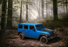 2015 jeep wrangler, jeep, car, forest, tree, sun light wallpaper