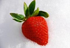 strawberry, berry, snow, food wallpaper