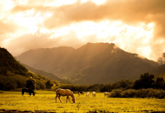 horse, grass, landscape, animals, sky, nature, mountains wallpaper