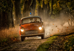 car, road, police, men, driving, autumn, leaf wallpaper
