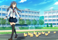 anime girls, sorairo innocent, visual novel, tsukigase mahiru, thigh-highs, duck, school uniform wallpaper