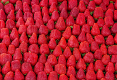 berries, strawberries, abundance, food wallpaper