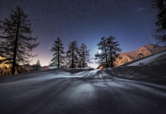 winter, landscape, night, snow, tree, stars, nature, starry night wallpaper
