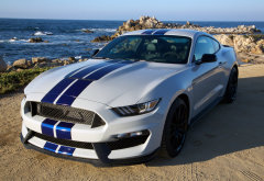 ford mustang shelby, muscle cars, american cars, white cars, shelby gt500, shelby, shelby gt35 wallpaper