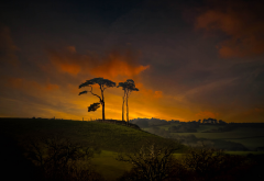 pine vistahula, clouds, sunset, hill, nature, tree wallpaper