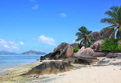 Seychelles, nature, landscape, island, beach, rock, palm trees, sea, sand, mountain, tropical, summe wallpaper