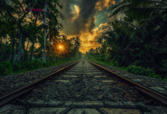 nature, landscape, railway, sunset, palm trees, clouds, shrubs, Sri Lanka, tropical wallpaper