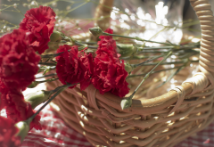 basket, flowers, carnation, red petals, nature wallpaper
