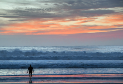 surfer, man, sunset, beach, sea, people, landscape, nature wallpaper