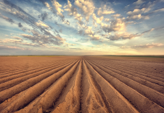 arable, plowing, field, sky, clouds, nature wallpaper