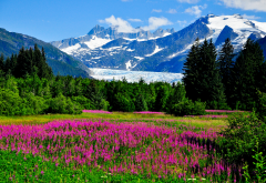 usa, alaska, mountains, rocks, glacier, valley, flowers, nature wallpaper