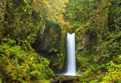 weisendanger falls, forest, waterfall, nature, autumn, usa, portland wallpaper