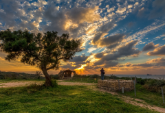 ashkelon national park, israel, sea, coast, clouds, sky, sunset, tree, nature wallpaper