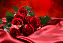 roses, flowers, bouquet, red roses wallpaper