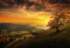 sunset, mountains, tree, nature, switzerland, autumn wallpaper
