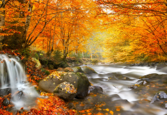 nature, autumn, romania, forest, river, waterfall, tree, leaves, stones wallpaper