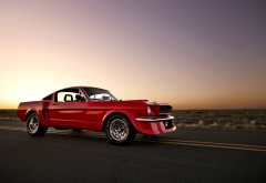 ford mustang, muscle car, ford, road, tuning, cars,  wallpaper