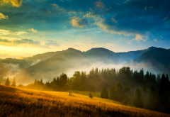 autumn, ukraine, carpathian mountains, nature, fog, clouds wallpaper