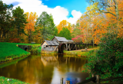 mabry mill, virginia, nature, pond, autumn, leaf, fall, usa, mill wallpaper