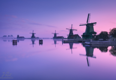 zaanse schans, holland, natherlands, morning, water, fog, windmill, mill wallpaper