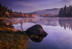 nature, autumn, morning, sunrise, forest, lake, reflection, fog, stone wallpaper
