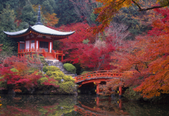 japan, tree, buddhist temple of daigo-ji, daigo-ji, temple, autumn, pond wallpaper