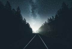 road, forest, milky way, stars, sky, night, railroad, rails wallpaper