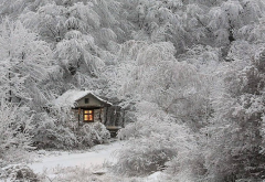 snow cabin, hunting lodge, winter, forest, snow wallpaper
