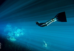 freediving, photo, underwater, diving, ocean, diving suit wallpaper