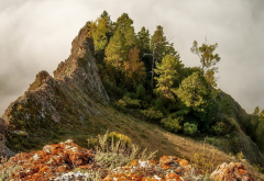 mountains, spruce, torgashinsky ridge, krasnoyarsk krai, russia, nature wallpaper