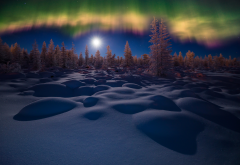 aurora borealis, winter, evening, snow, moon, nature wallpaper