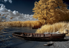 clouds, lake, reeds, boat, summer, nature wallpaper