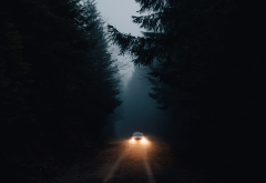 road, forest, night, cars, nature wallpaper