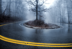 road, tree, turn, fog, u-turn wallpaper