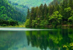 jiuzhaigou, sichuan, asia, china, nature, mountains, forest, lake, beautiful, reflection wallpaper