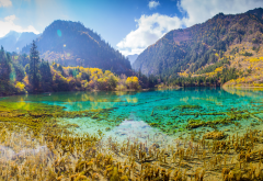 jiuzhaigou, china, mountains, lake, forest, autumn, landscape, park, nature wallpaper